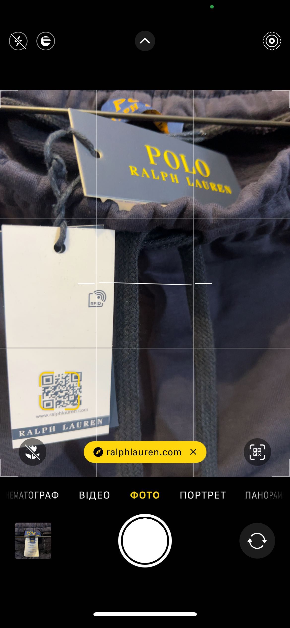 Шорти Polo Ralph Blue сині