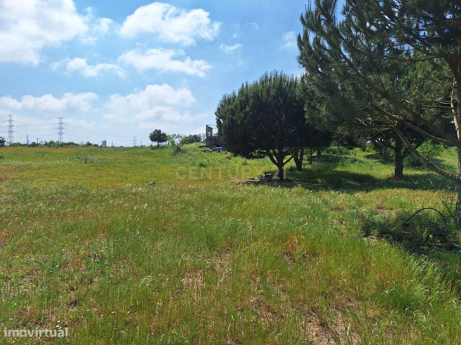 Terreno Rústico em Setúbal - Oportunidade Única por 82.900€