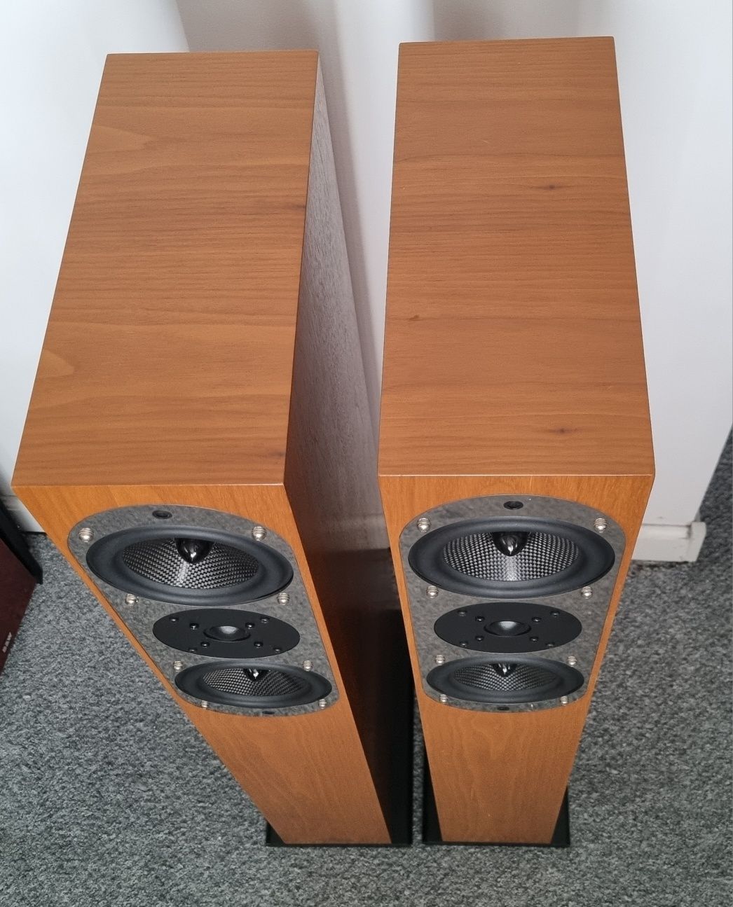 Kolumny podłogowe ASW genius 300