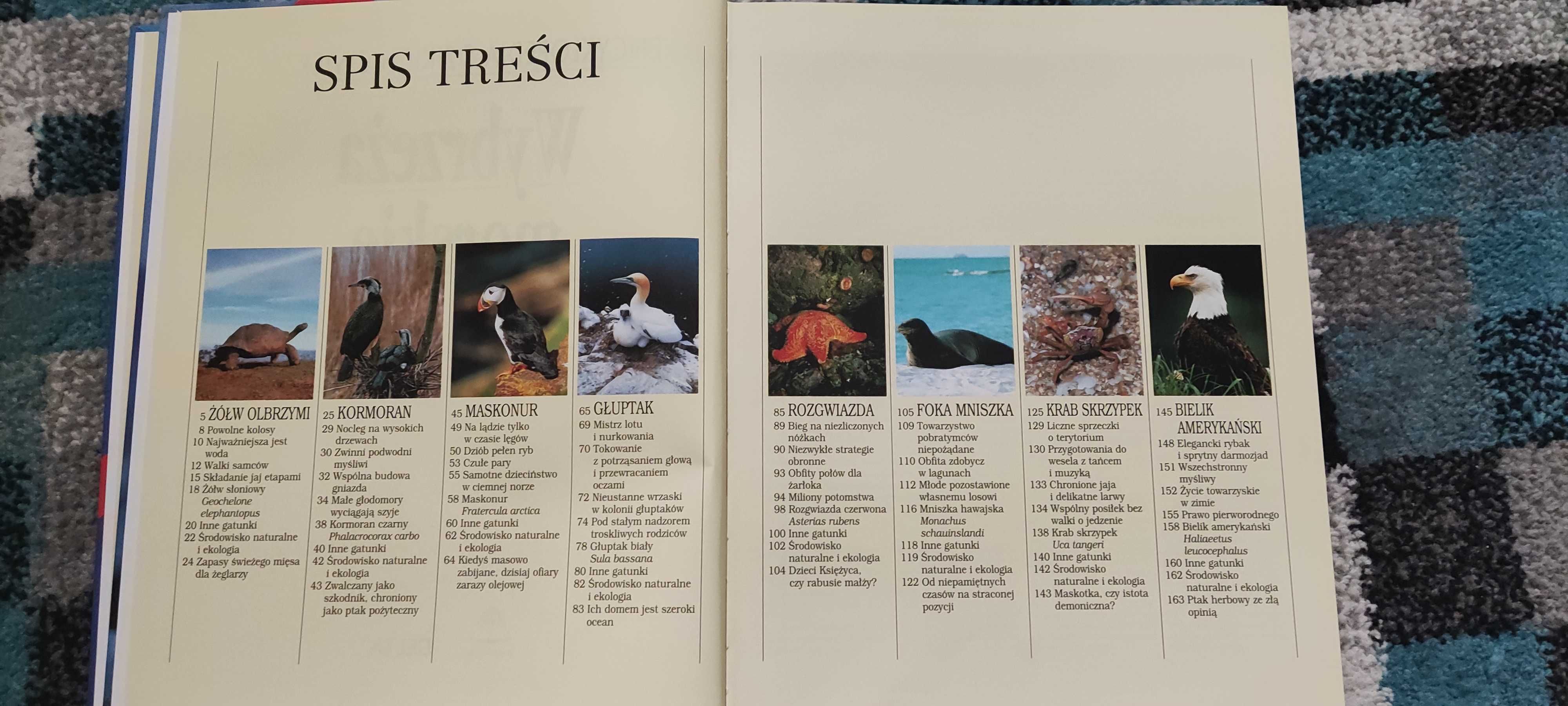 Album z serii Encyklopedia Dzikich Zwierząt - Wybrzeża Morskie