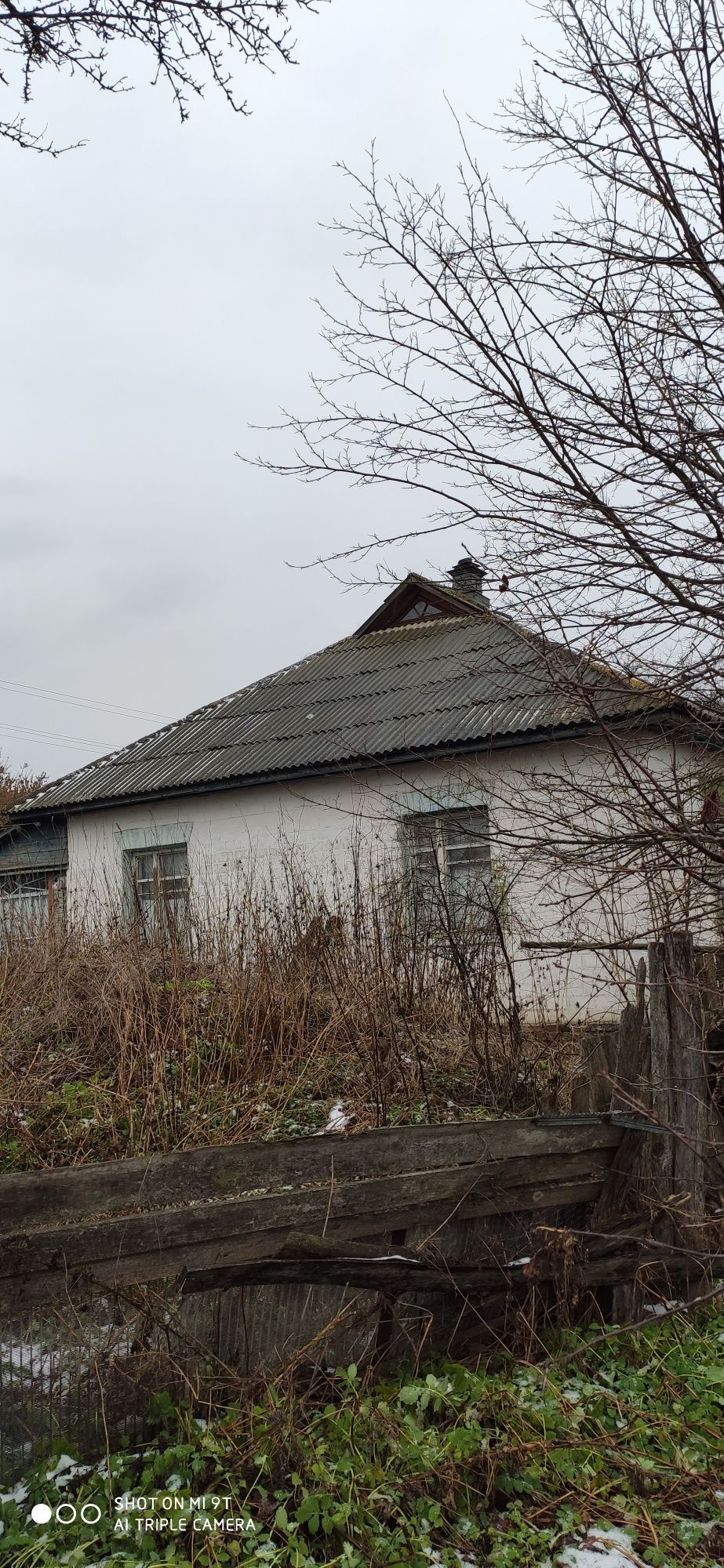 Продам добротний будинок біля річки Десна в селі Надинівка