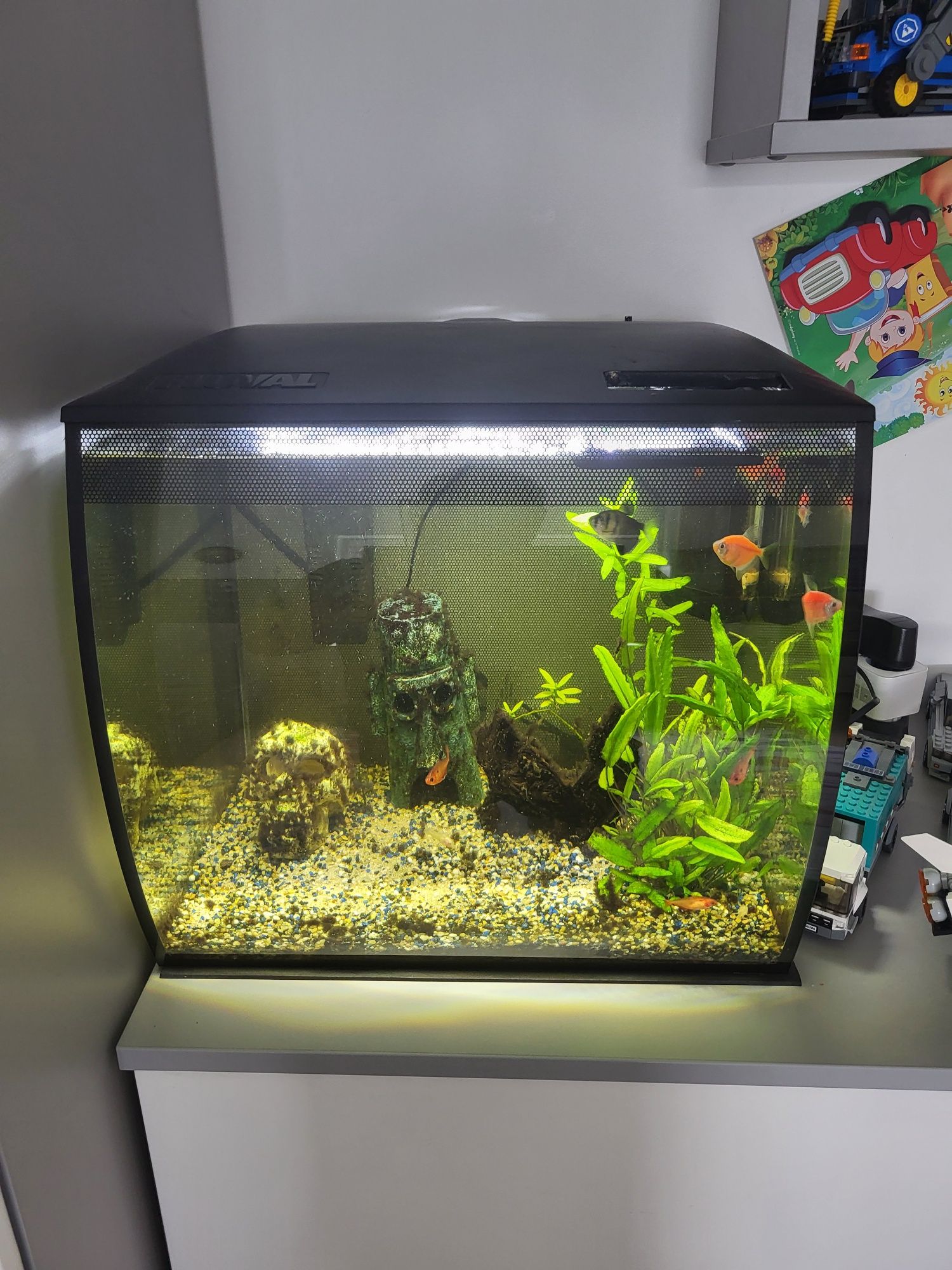 Akwarium fluval flex 57 litrów  komplet led pilot filtr