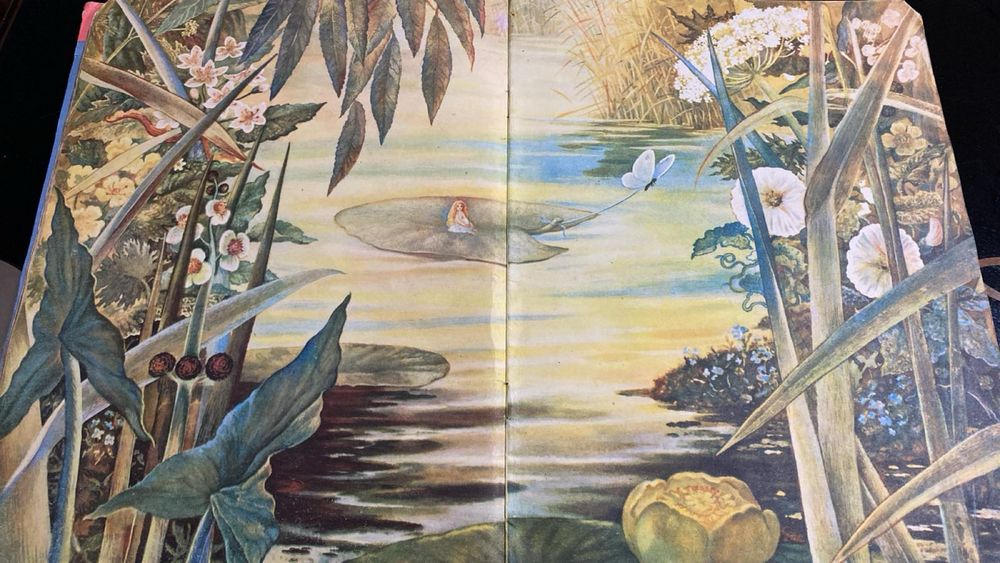 Книга «Дюймовочка» Ганса Крістіана Андерсена украінською мовою