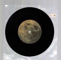 The Waterboys - The Whole Of The Moon (Winyl 7")