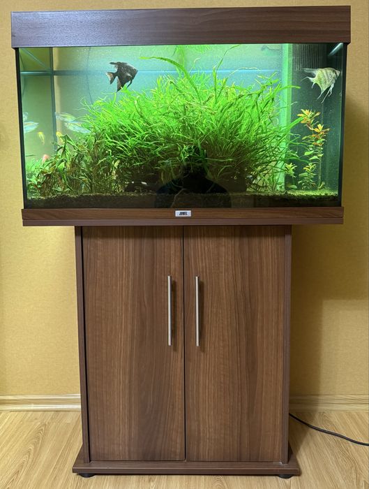 Акваріум Juwel Rio 125 літрів, робочий