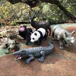Conjunto de 6 animais selvagens de brincar