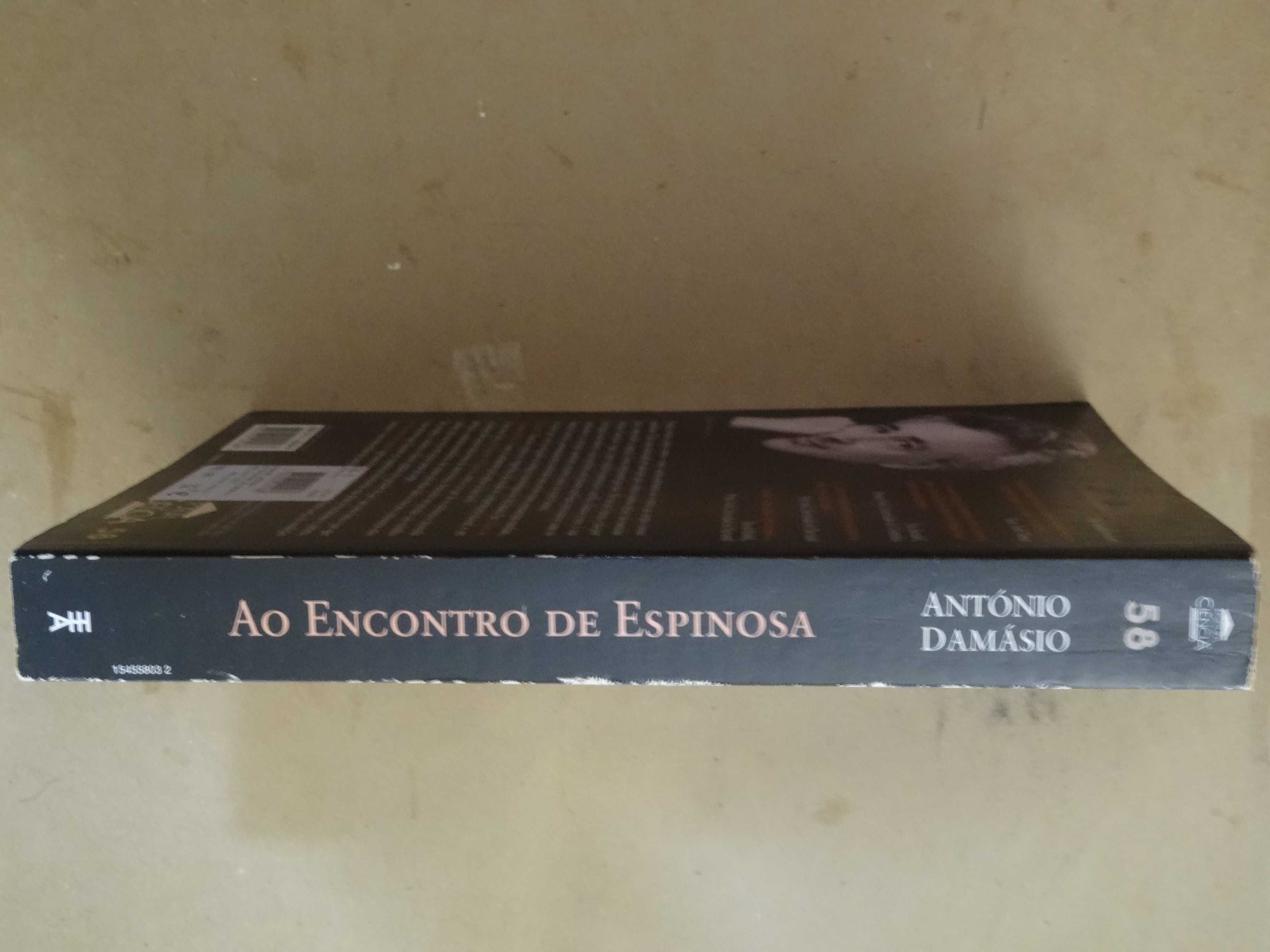 Ao Encontro de Espinosa de António Damásio