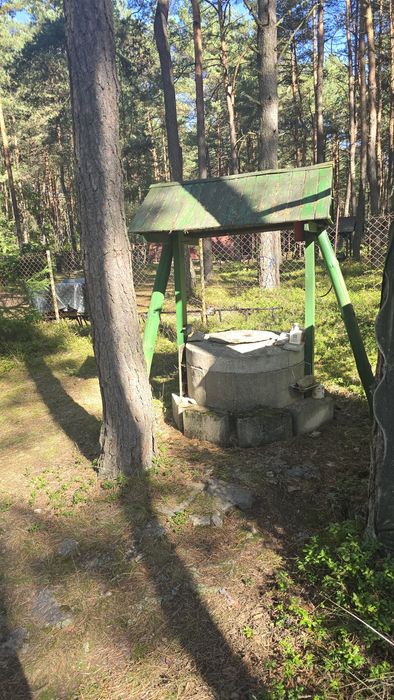 Domek letniskowy w lesie