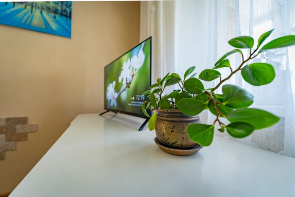 Солнечный. Набережная. 1 кв от собственника Почасово и Посуточно