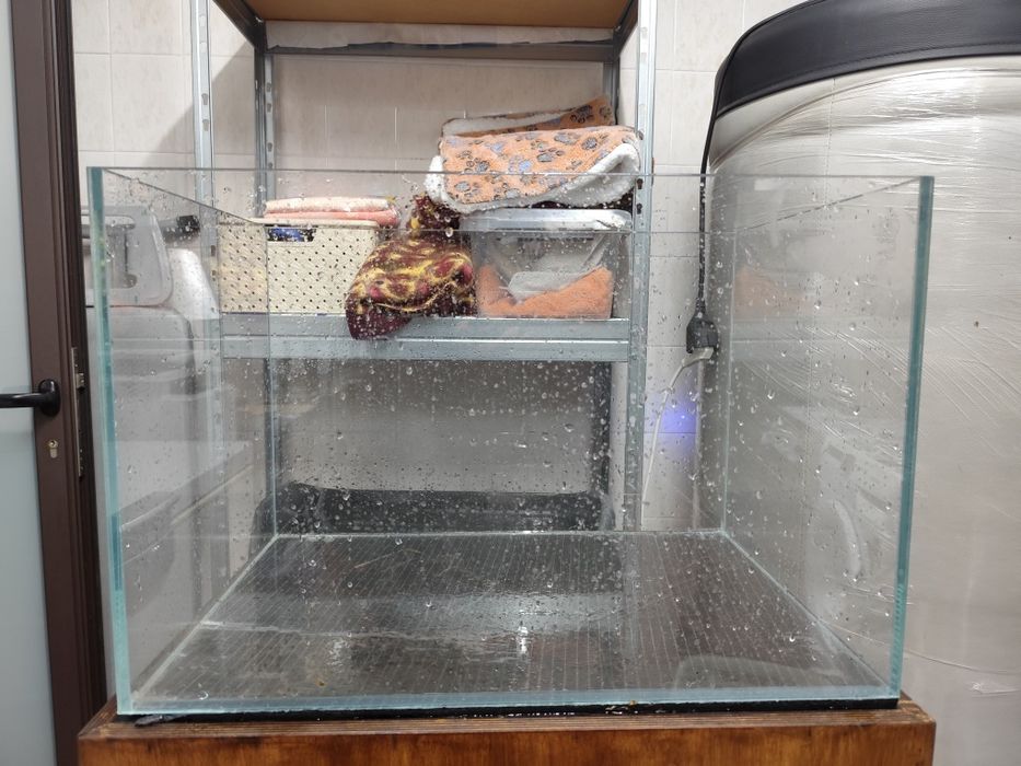 Aquários em bom estado