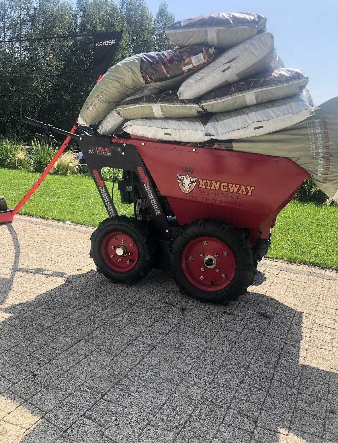 Wynajem Minikoparki 1t bez operatora + taczka spalinowa 120 zł / dzień