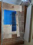Klatka/woliera 100x53x85