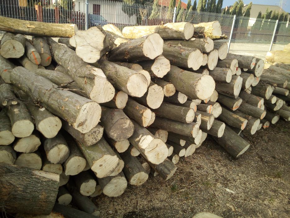 DREWNO kominkowe BUK, GRAB