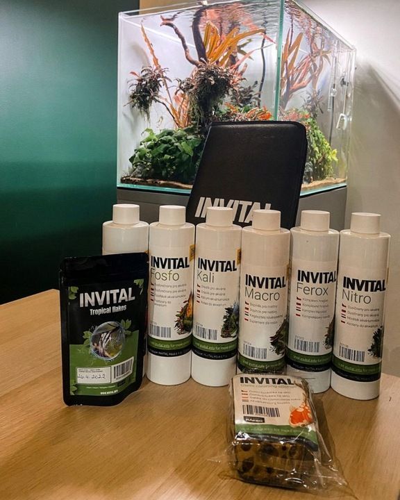 Invital Macro 500 Ml