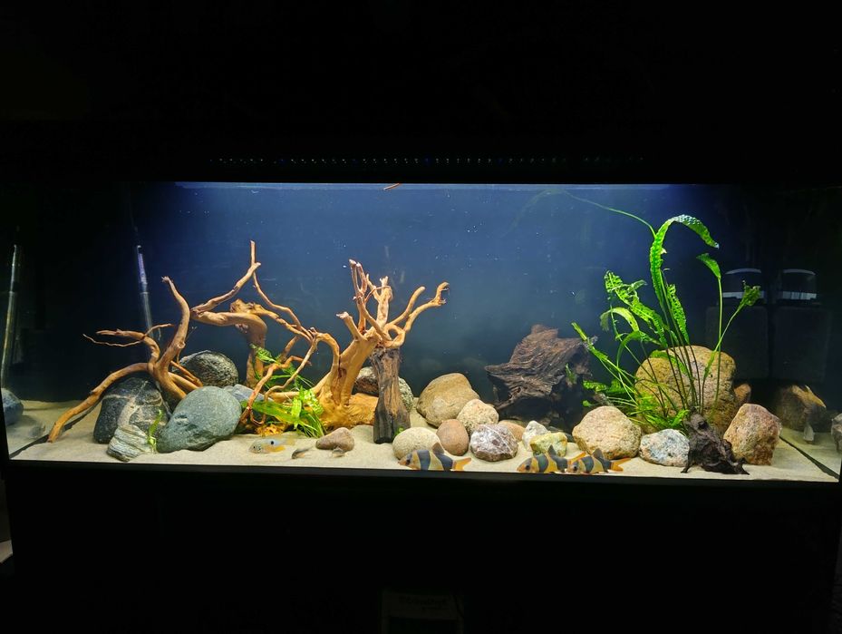 Sprzedam akwarium Aquael glossy 405 l, nowe, uszkodzone Bydgoszcz