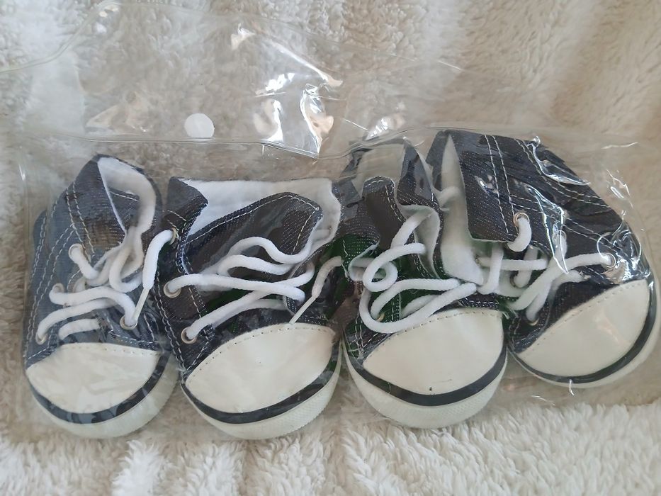 Кеди для лабладора