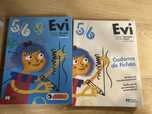 Manual e caderno fichas Educacao visual 5 e 6 anos