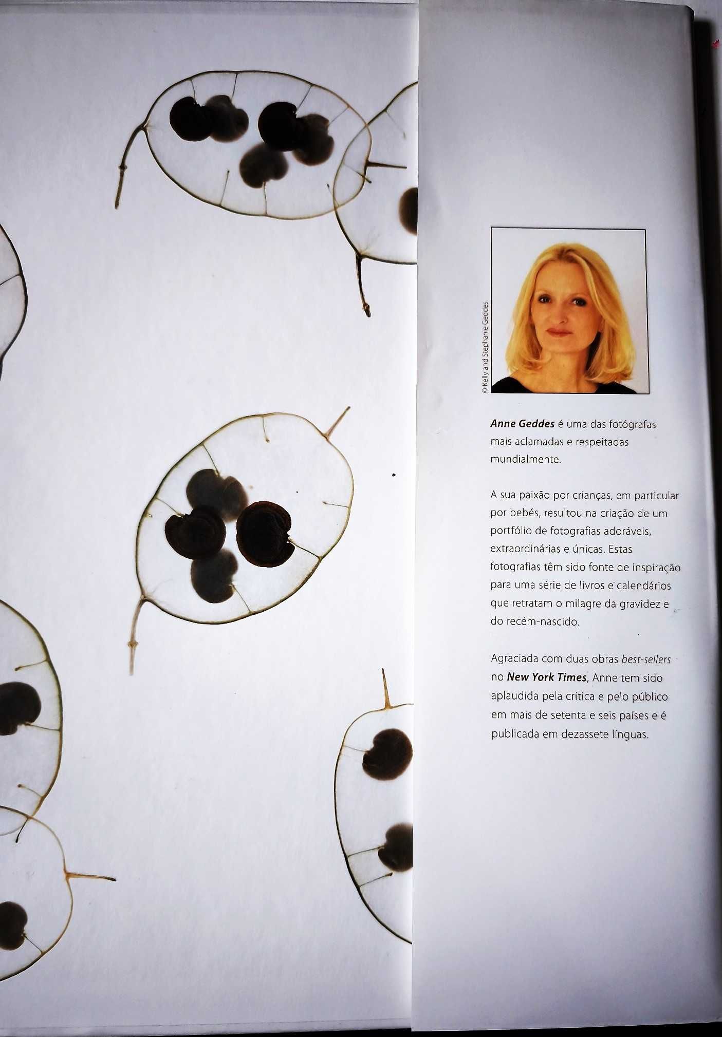 Livro de Fotografia: Anne Geddes - Origens