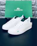 Кросівки Lacoste чоловічі. Кросівки Лакоста зручні, стильні