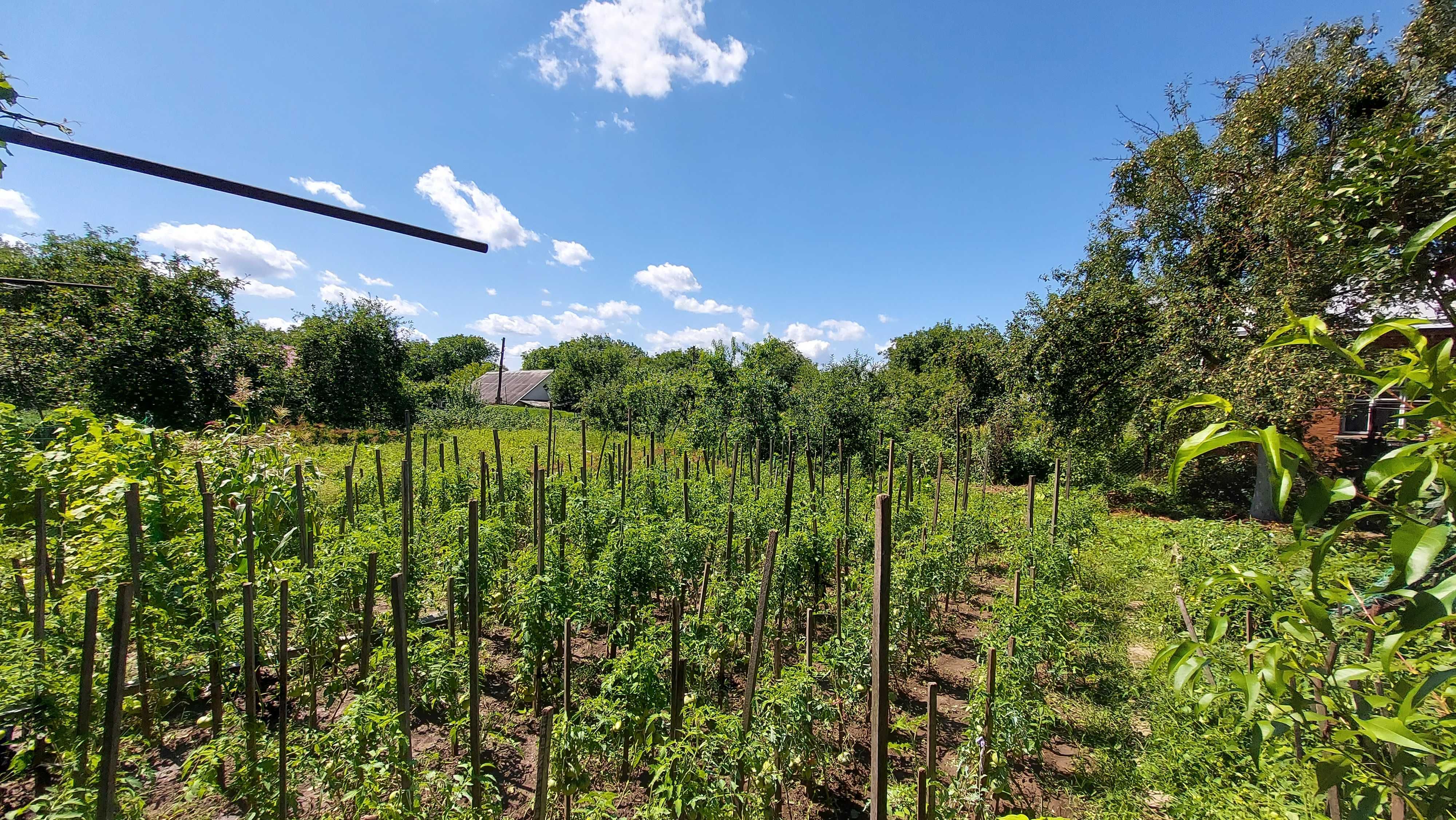 Будинок у с. Зіньків, Віньковецький р-н, вул. Молодіжна (Щорса), 20