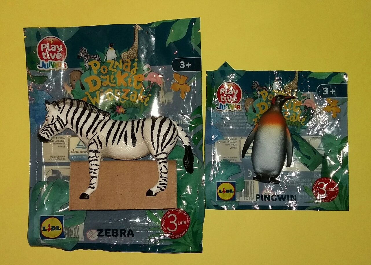 Lidl "Poznaj dzikie zwierzaki" zebra krokodyl pingwin cena za 5 sztuk