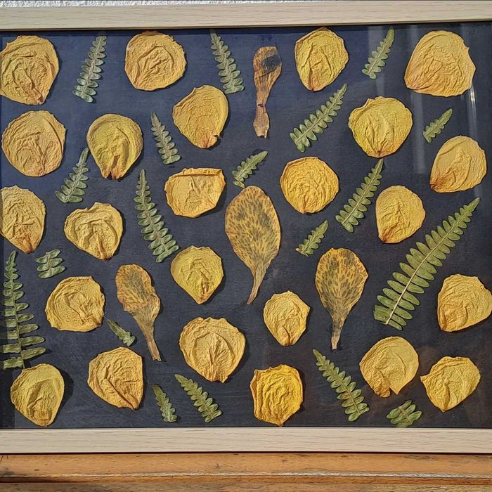 Moldura Coleção Black Vintage Jardim