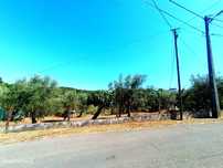 Terreno urbano