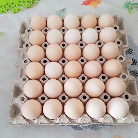 Jajka wiejskie 200 tygodniowo swojskie 90 gr ekologiczne