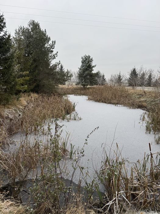 Sprzedam działki budowlane z prywatnym stawem Dalki/Gniezno