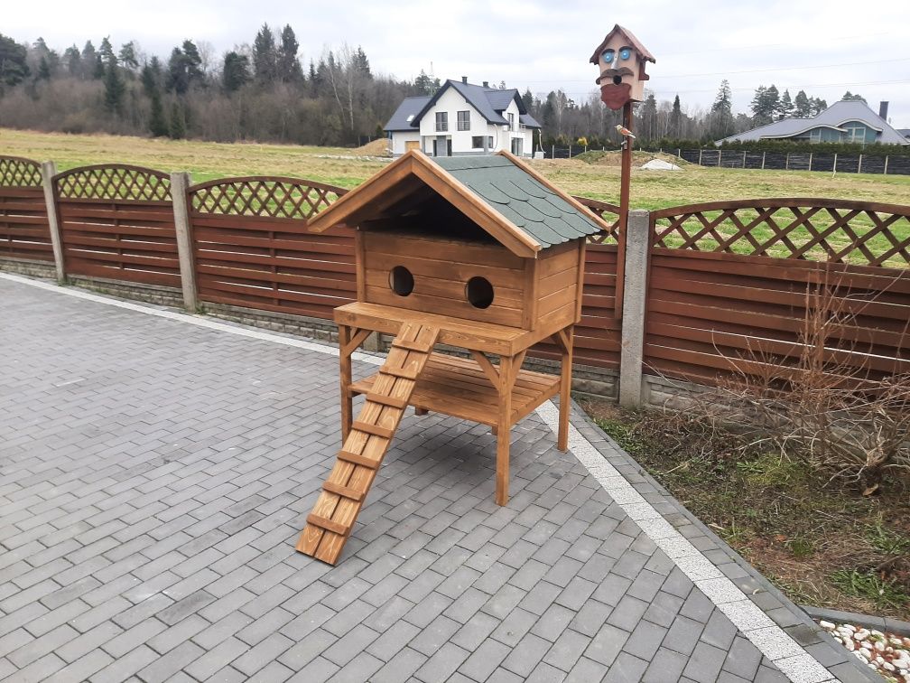 Buda dla dwóch kotów