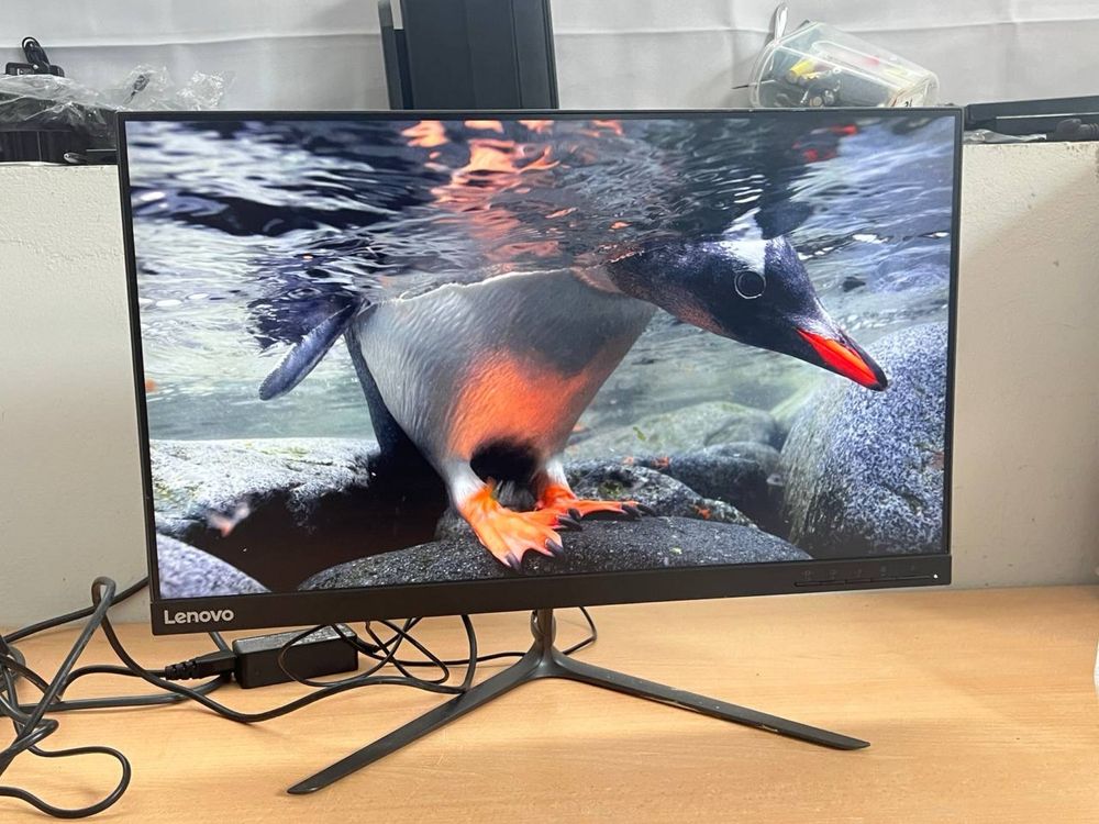 Монітор Lenovo L24i-10 / Full HD / IPS / 24”