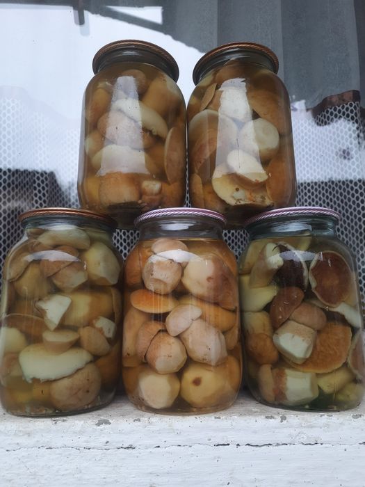 Білі гриби мариновані