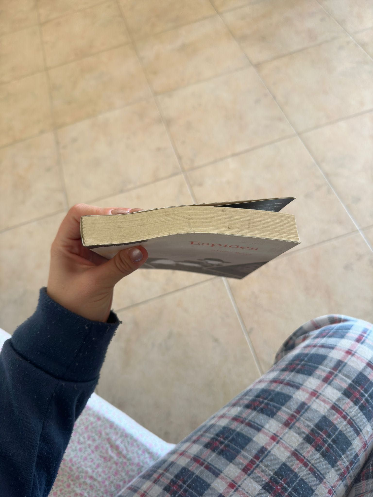 Livro Os Espiões