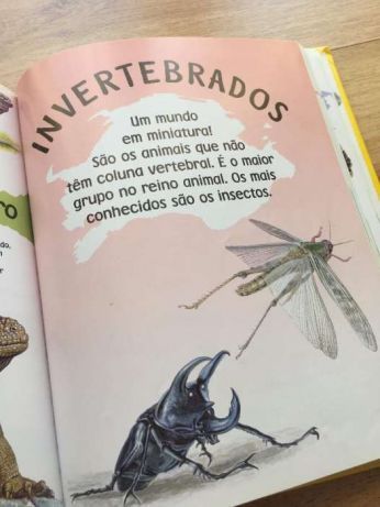 Livro - A Minha Primeira Enciclopédia Dos Animais