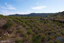 Terreno em Lamas