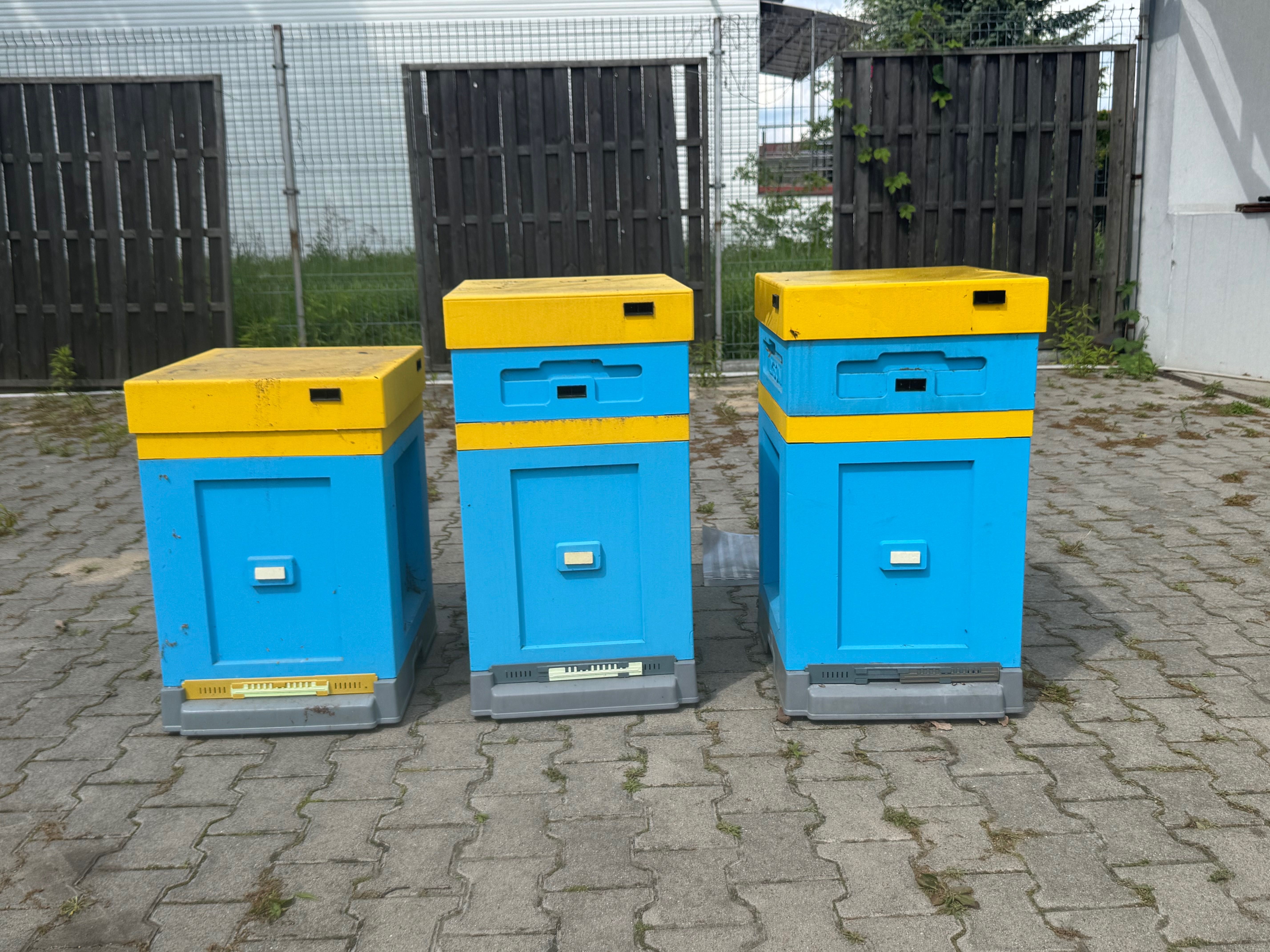 Ule warszawskie poszerzane! Jak nowe! 3 sztuki !!!