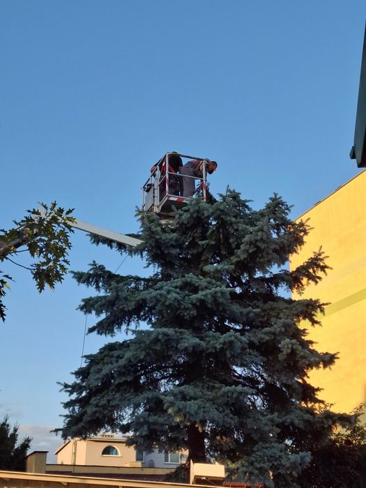 Profesjonalne usługi podnośnikiem koszowym – Włocławek i okolice