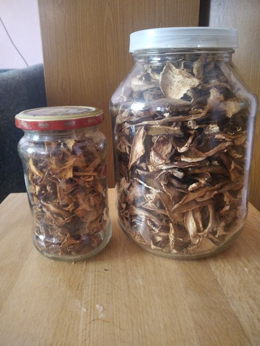 Продажа сушених білих грибів та лисичок.