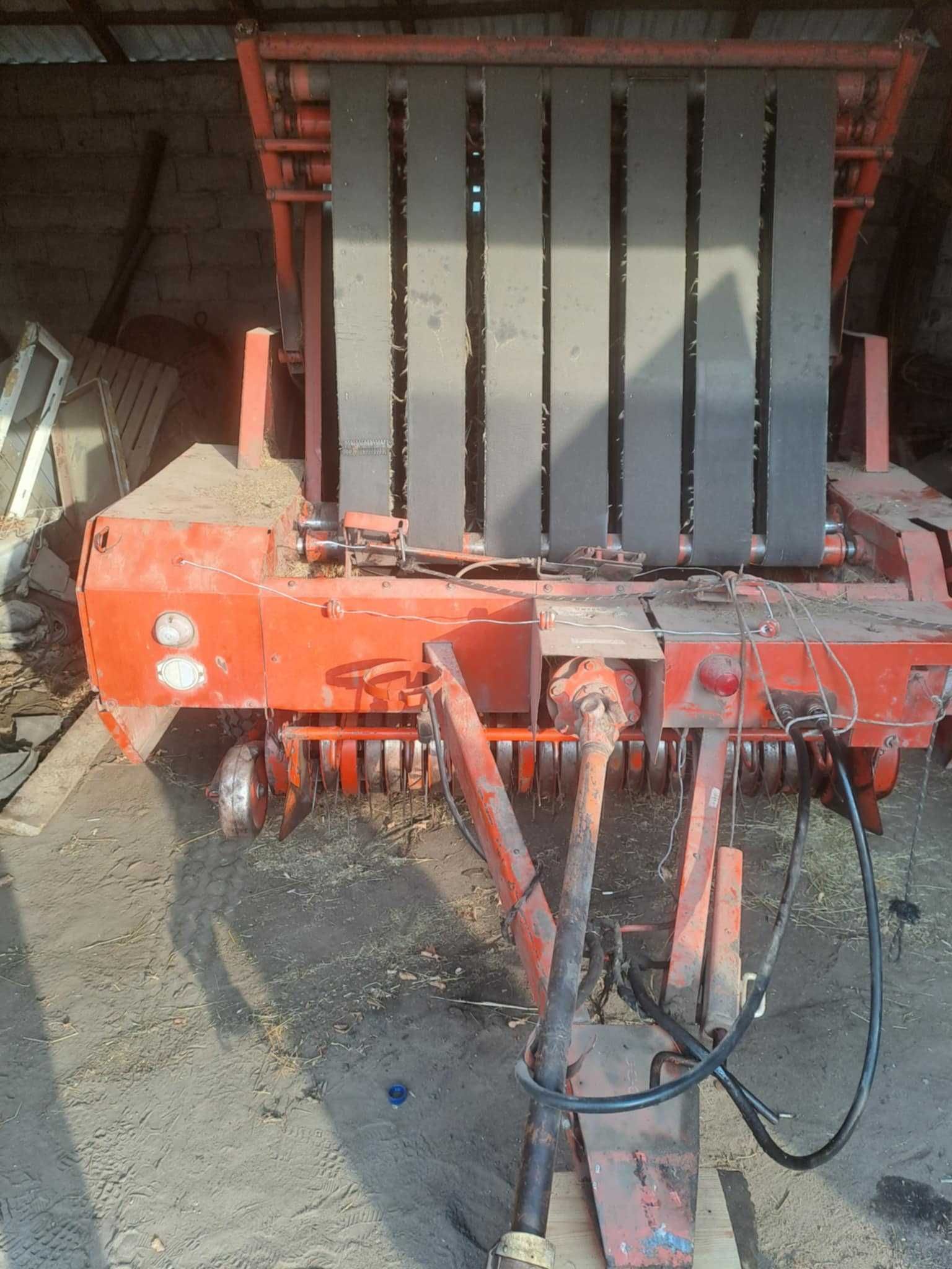 Sprzedam prase Sipma Z 263