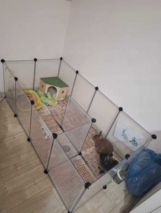 Klatka dla gruzoni zagroda dla królila NOWA