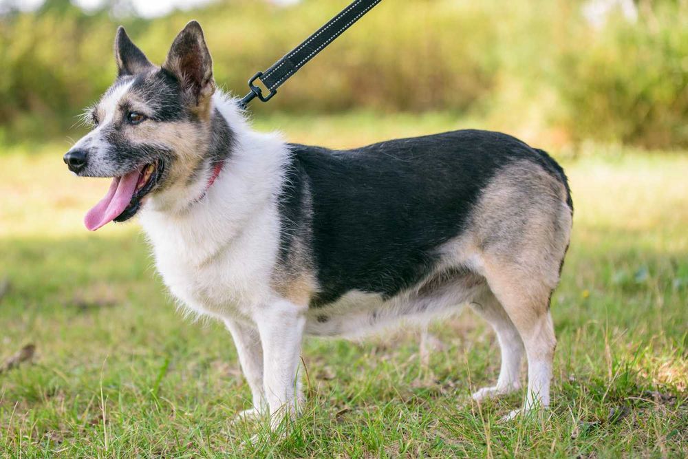 GAYA - spokojna, cichutka dla spokojnych ludzi