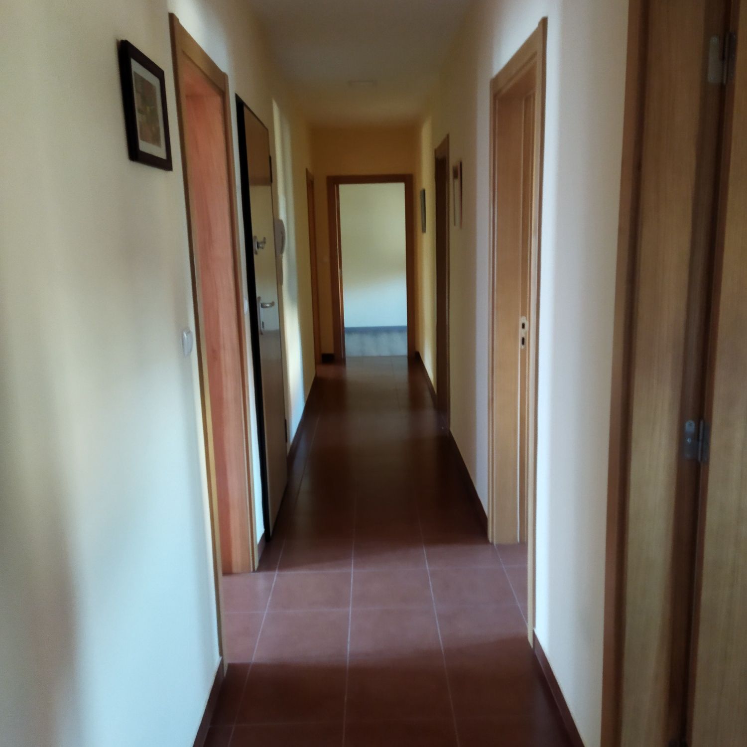 Alugo T3 na cidade da Guarda