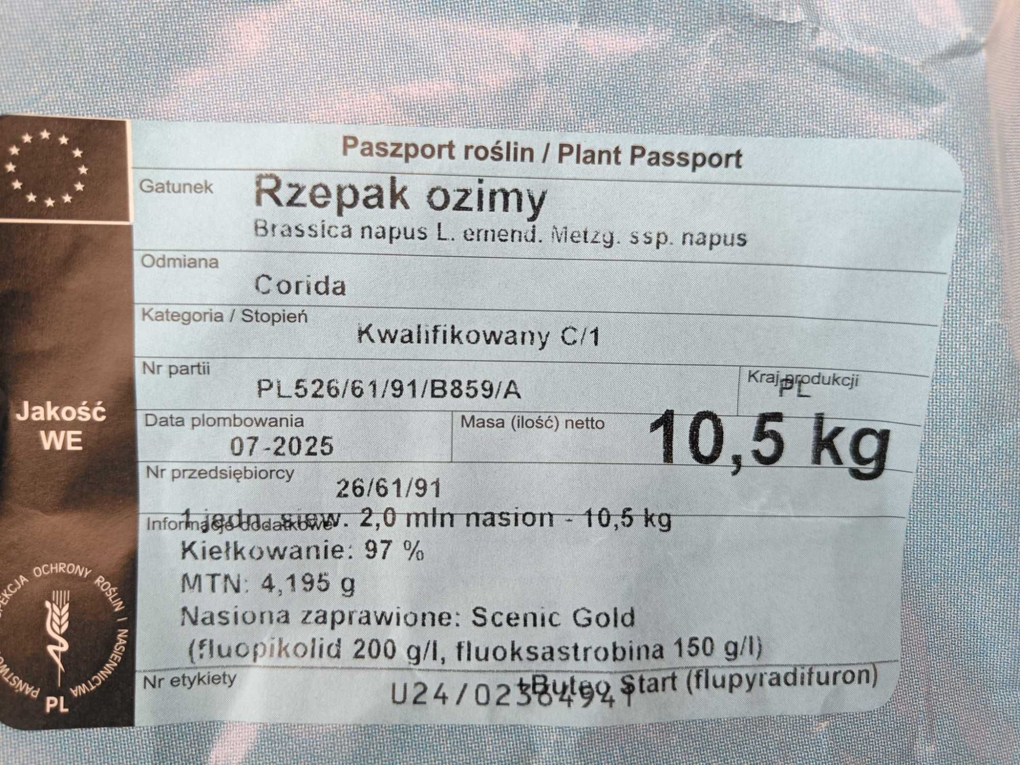 Rzepak Ozimy Corida / Ivanka C/1