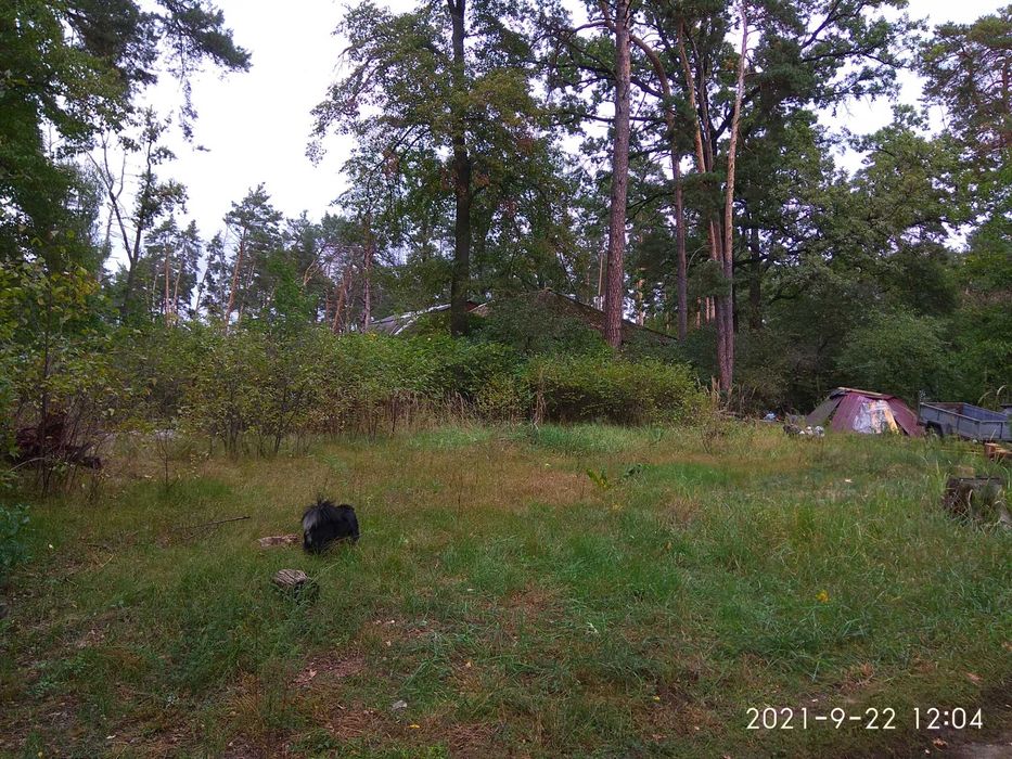 Продам ділянку в Бучі Лісовій від хазяїна!!