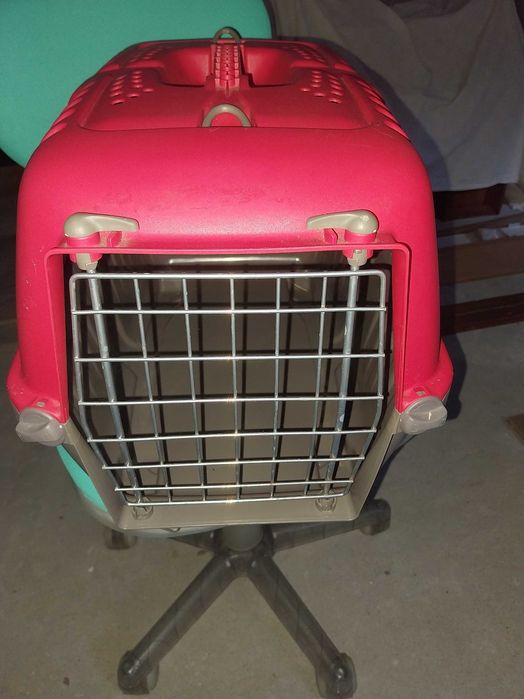 Transportadora gatos, luzes teto e apanhador de cinzas (lareira).