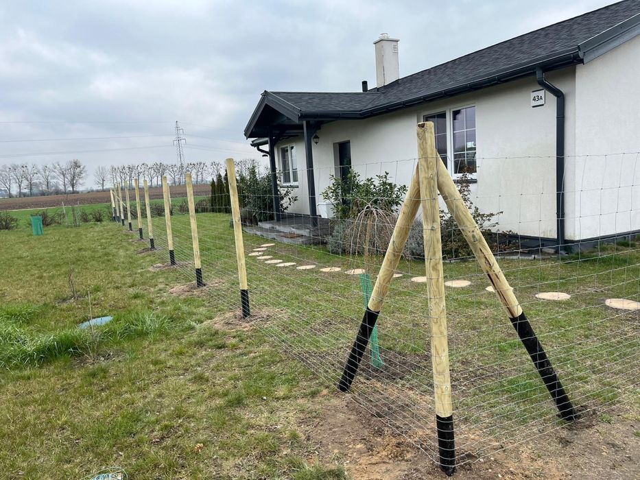 Montaż ogrodzenia z siatki leśnej. Wytrzymałe ogrodzenie tymczasowe