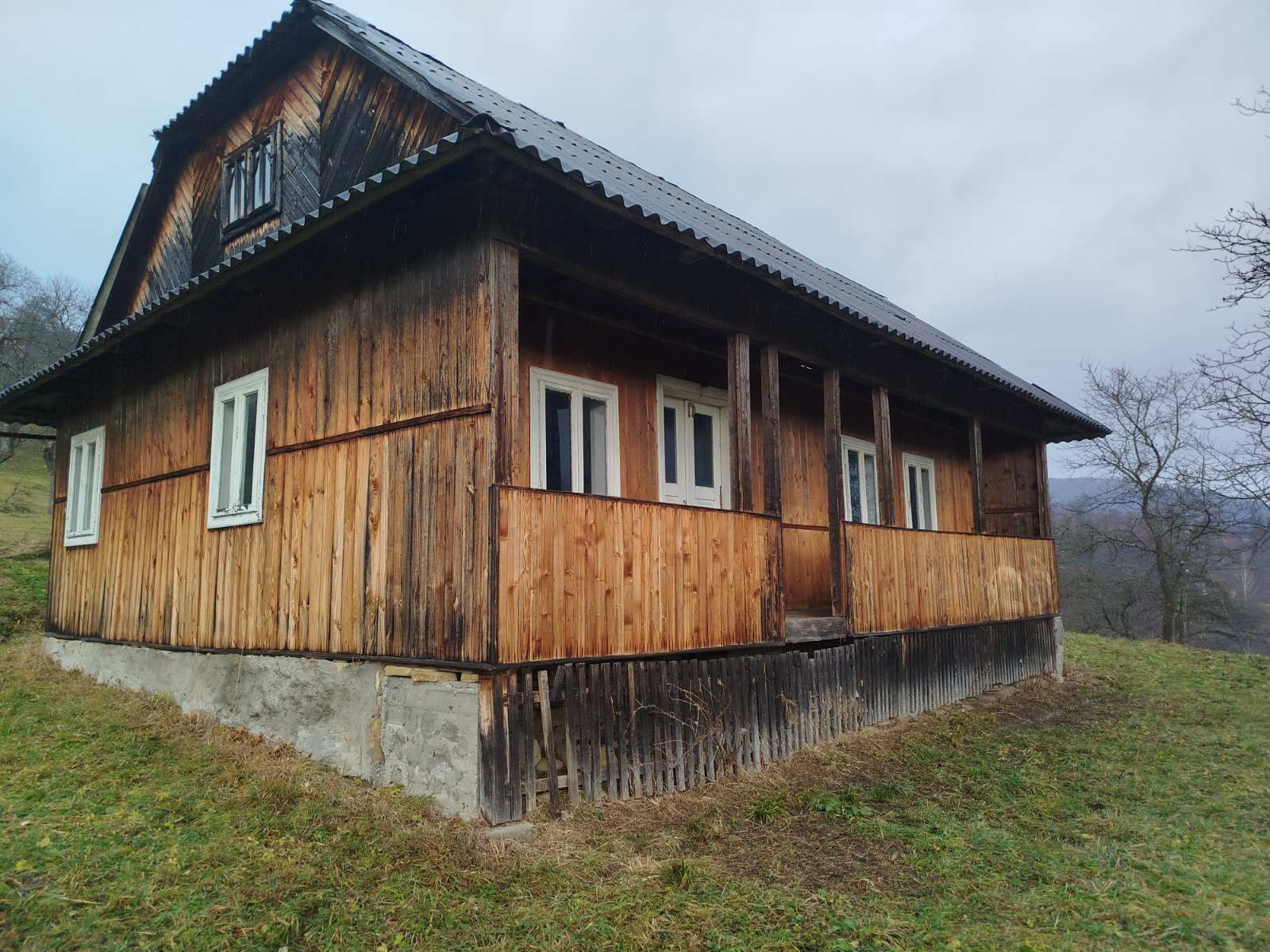 Будинок в Карпатах