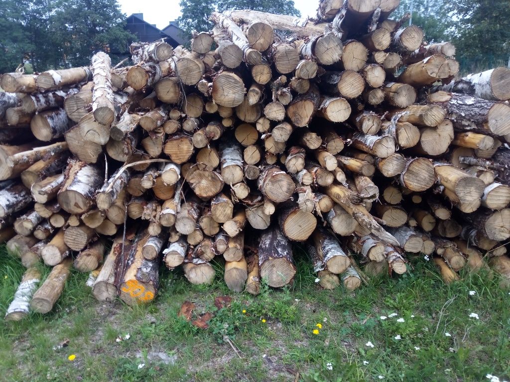 Drewno opałowe Brzozowe SEZONOWANE