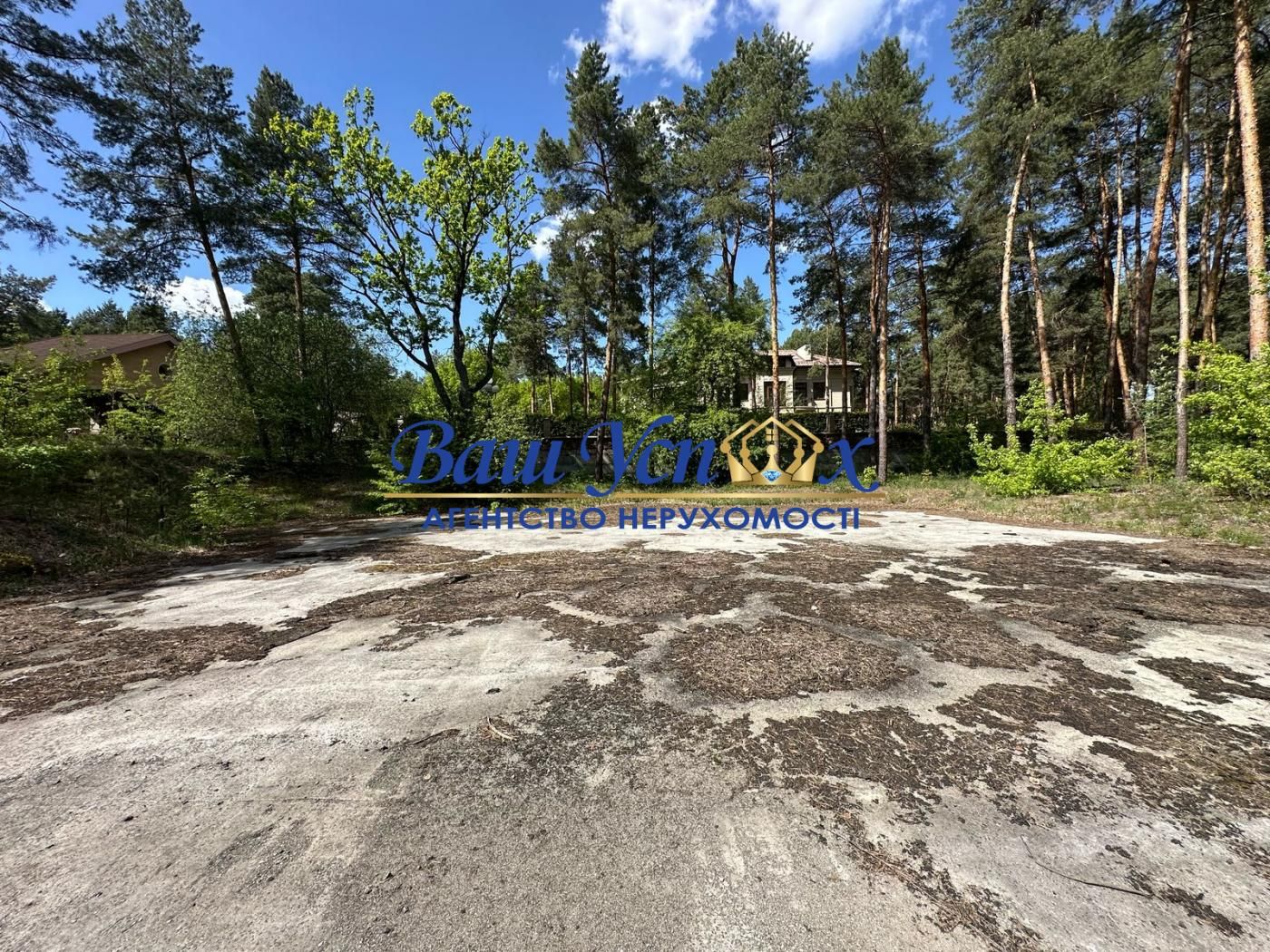 Продаж ділянки в лісі в містечку Конча-Заспа.  КГ Сосновий Бор .