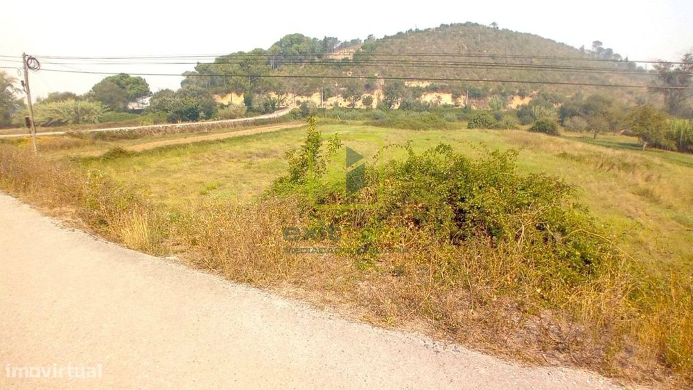 Terreno Rústico  Venda em Condeixa-a-Velha e Condeixa-a-Nova,Condeixa-